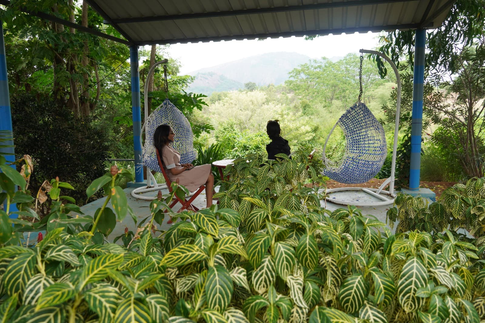 Blue Valley — 30-Acre Valley Retreat